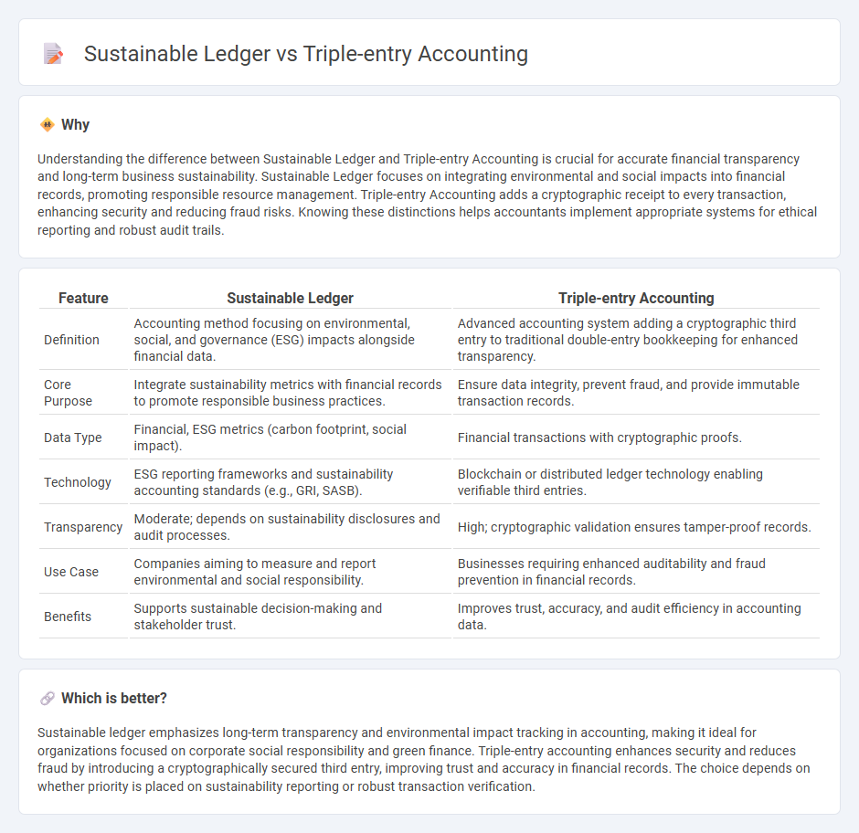 Sustainable Ledger vs Triple-Entry Accounting in Accounting