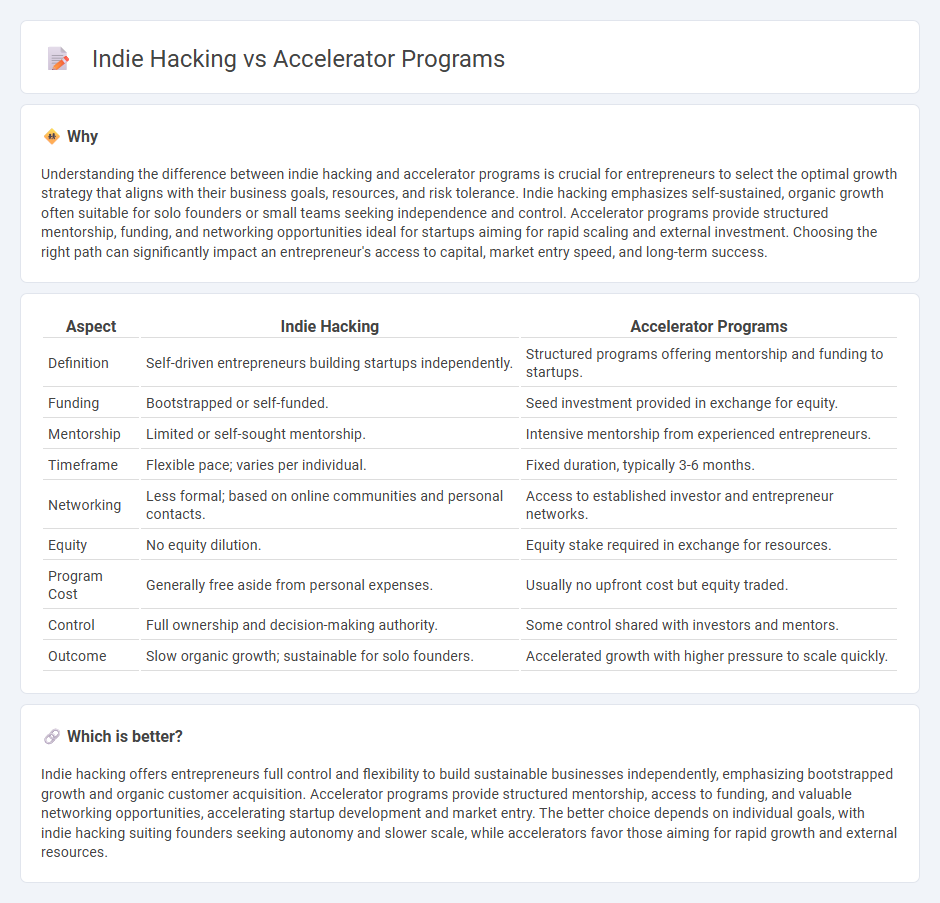Indie Hacking vs Accelerator Programs in Entrepreneurship