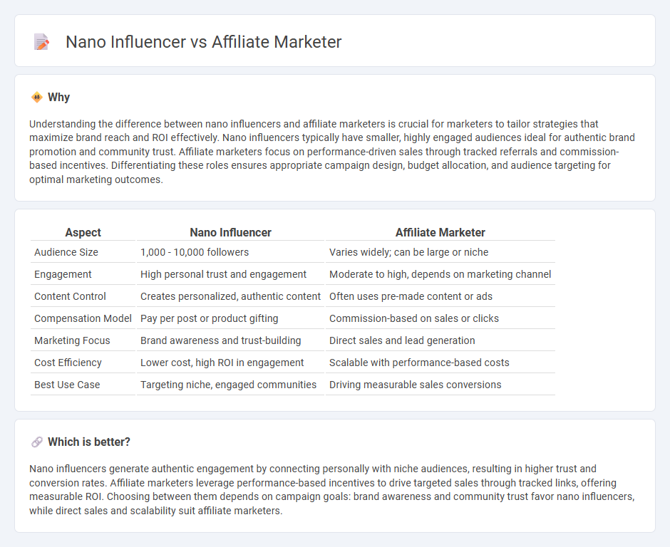 Nano Influencer vs Affiliate Marketer in Marketing