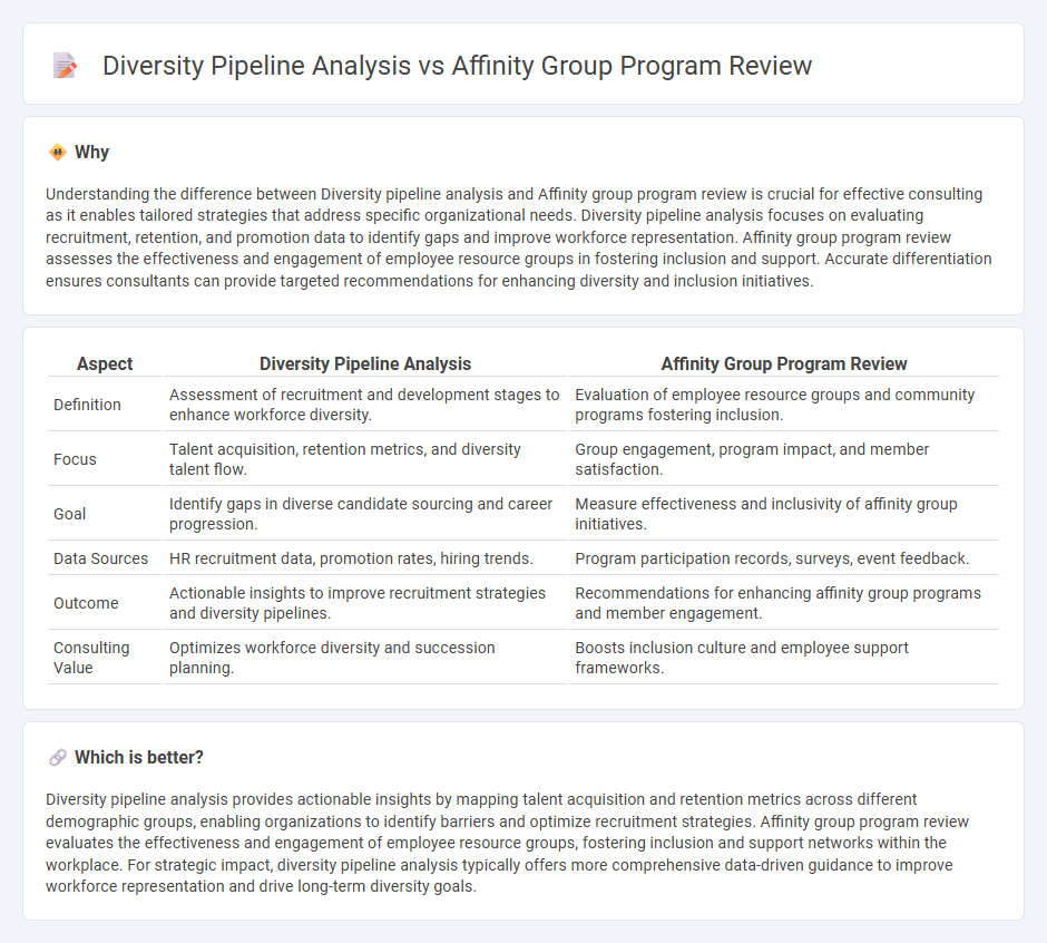 Diversity Pipeline Analysis vs Affinity Group Program Review in Consulting