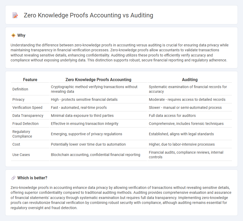 Zero Knowledge Proofs Accounting vs Auditing in Accounting