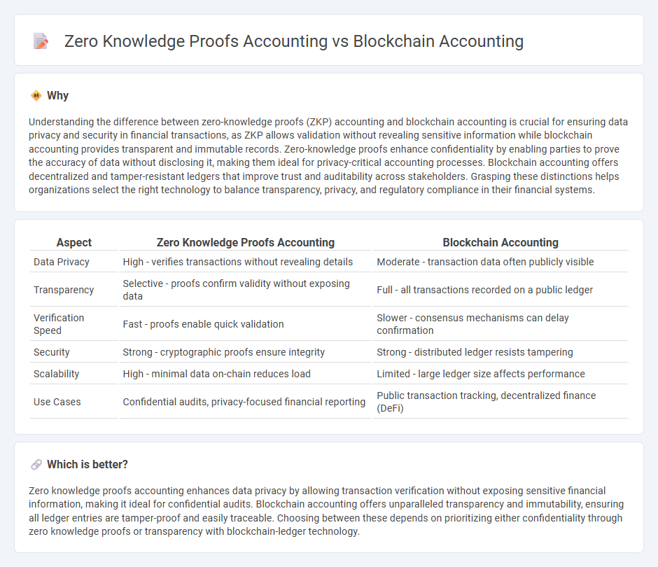 Zero Knowledge Proofs Accounting vs Blockchain Accounting in Accounting