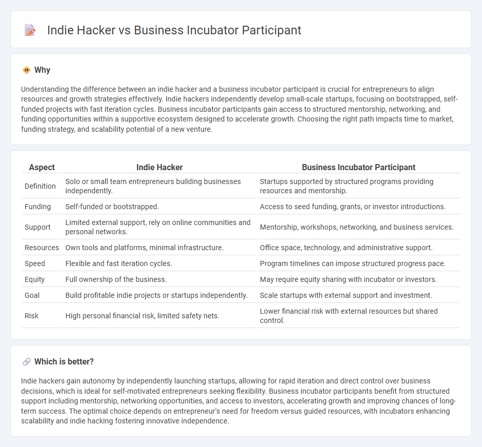 Indie Hacker vs Business Incubator Participant in Entrepreneurship
