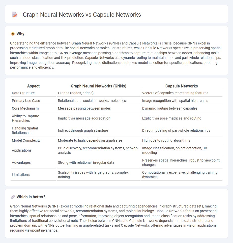 Graph Neural Networks vs Capsule Networks in Technology