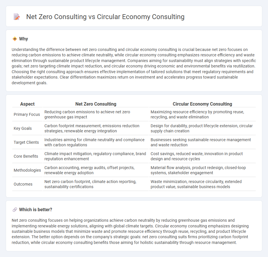 Net Zero Consulting vs Circular Economy Consulting in Consulting