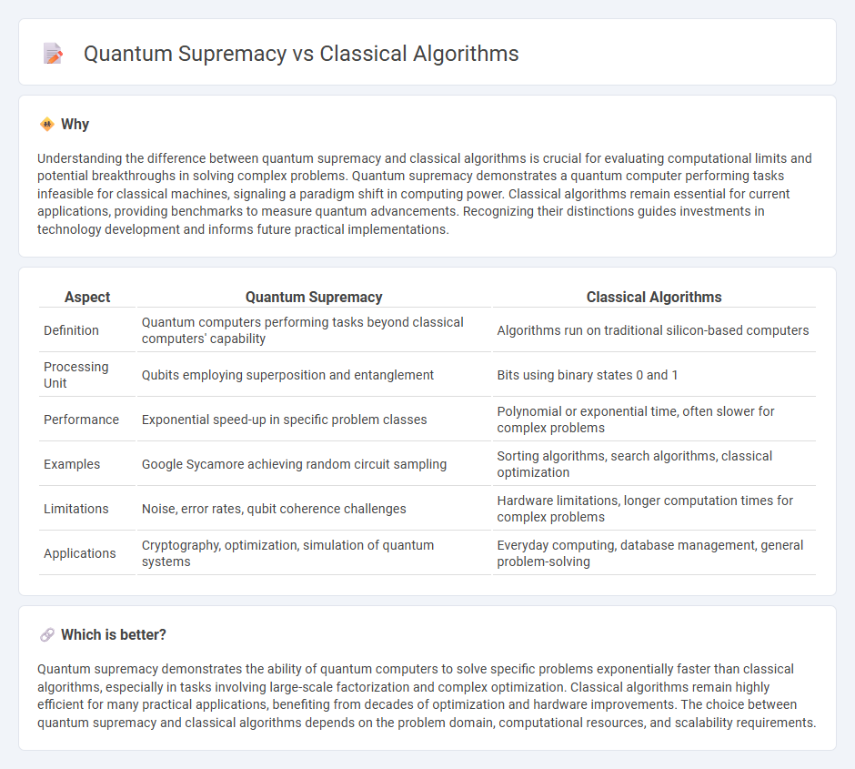 Quantum Supremacy vs Classical Algorithms in Technology