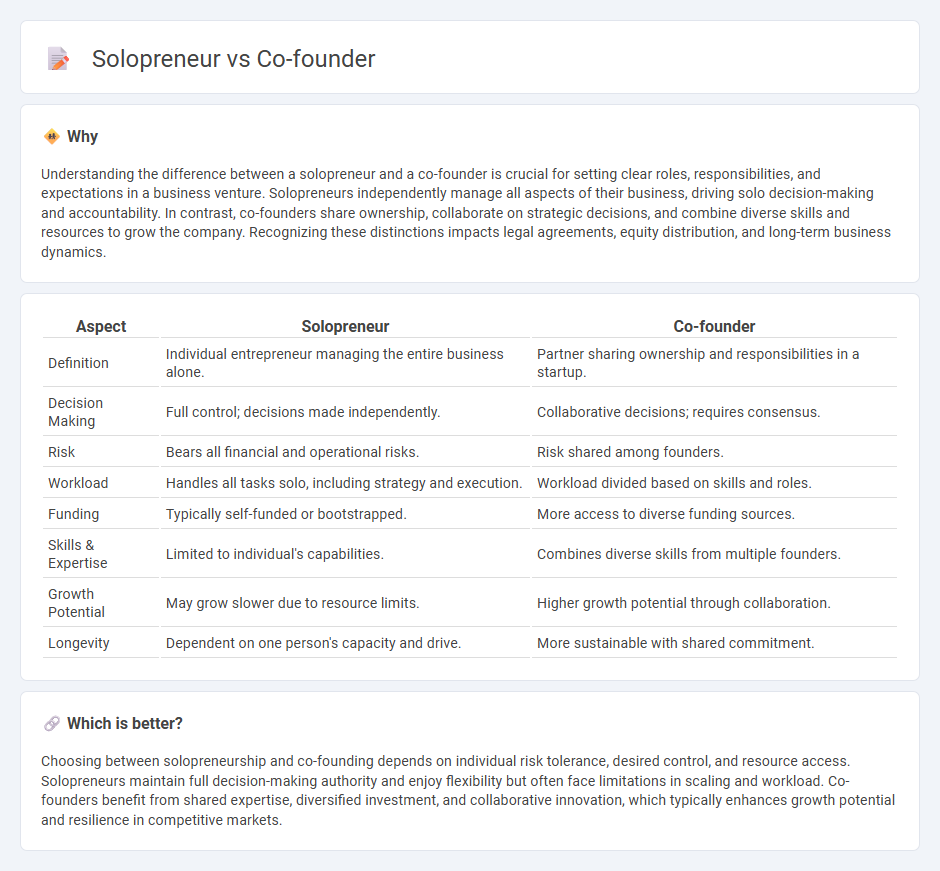 Solopreneur vs Co-Founder in Entrepreneurship