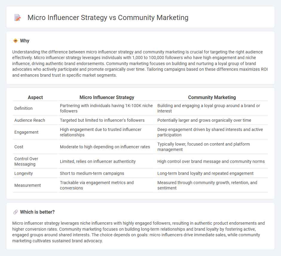 Micro Influencer Strategy vs Community Marketing in Marketing
