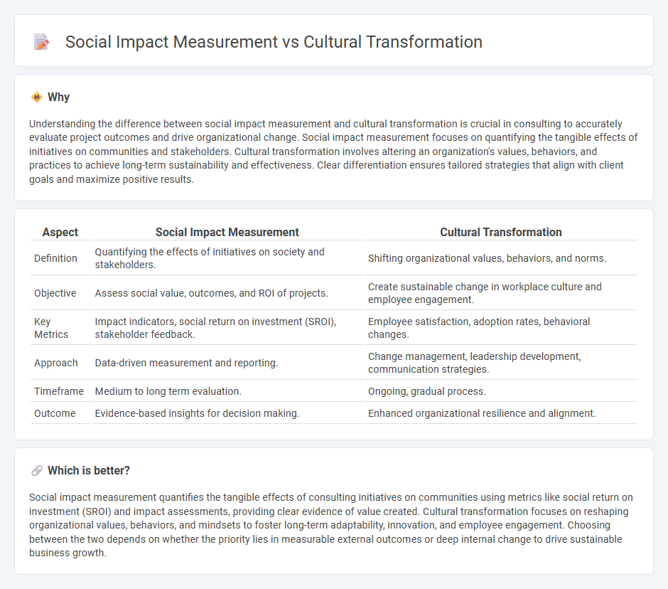 Social Impact Measurement vs Cultural Transformation in Consulting