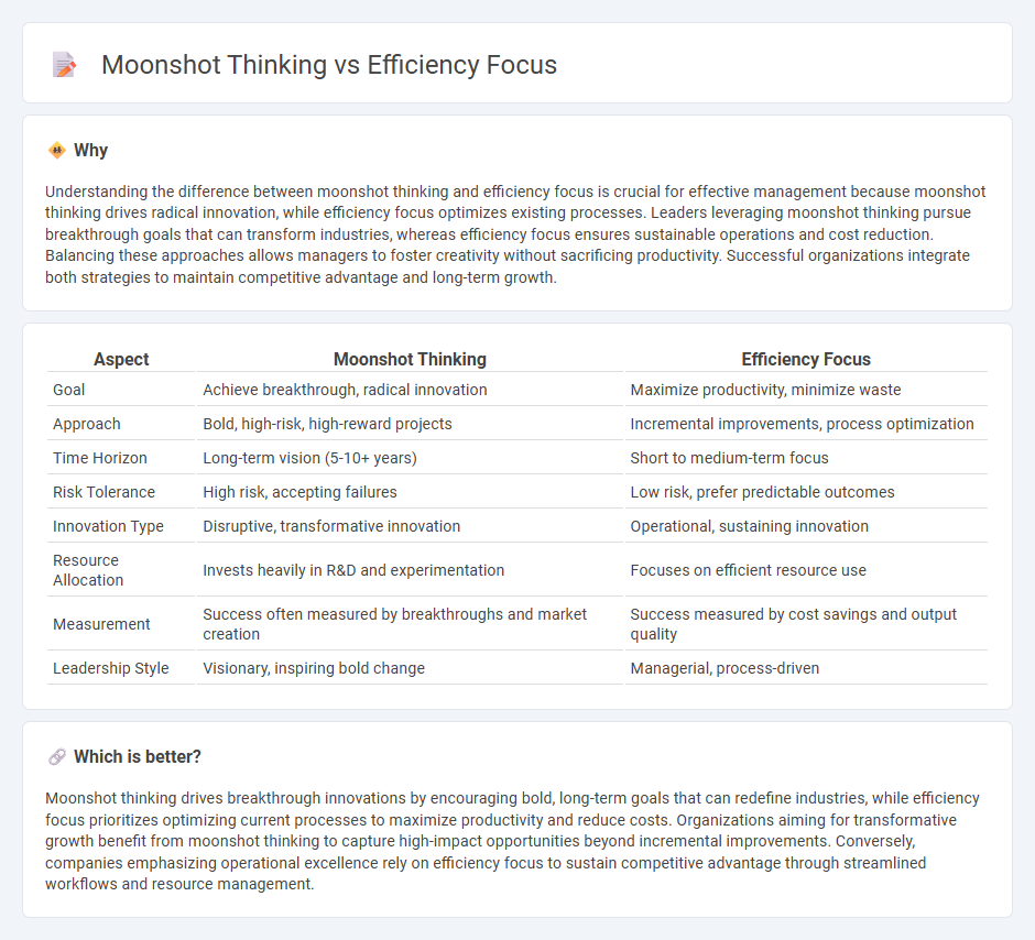 Moonshot Thinking vs Efficiency Focus in Management