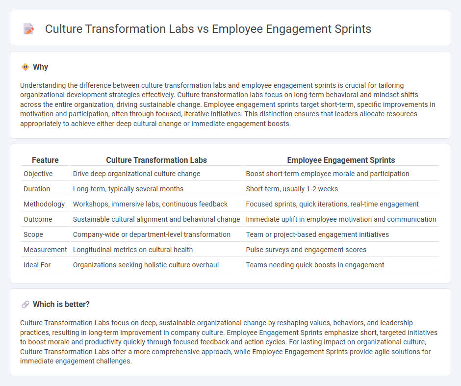 Culture Transformation Labs vs Employee Engagement Sprints in Consulting