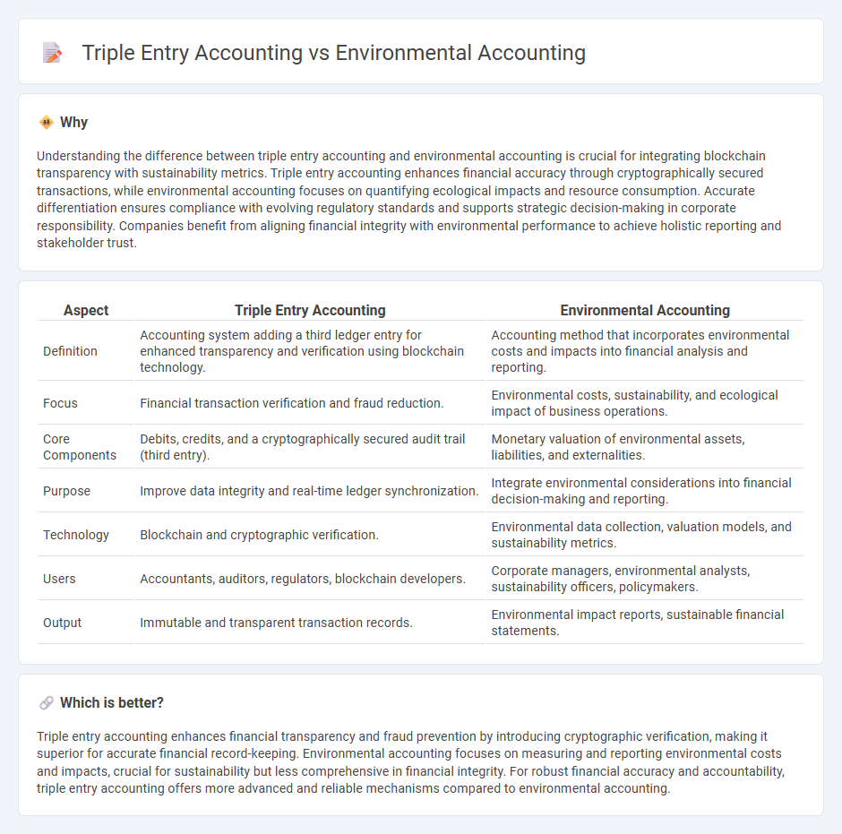 Triple Entry Accounting vs Environmental Accounting in Accounting