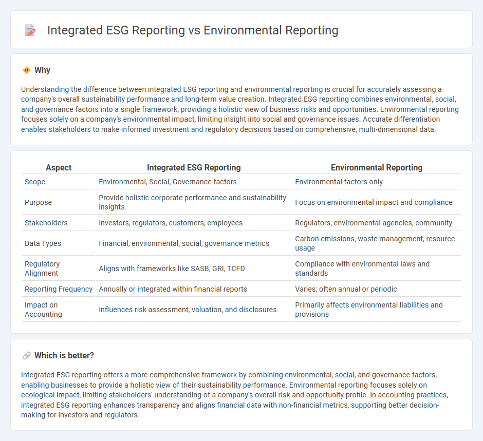 Integrated Esg Reporting vs Environmental Reporting in Accounting