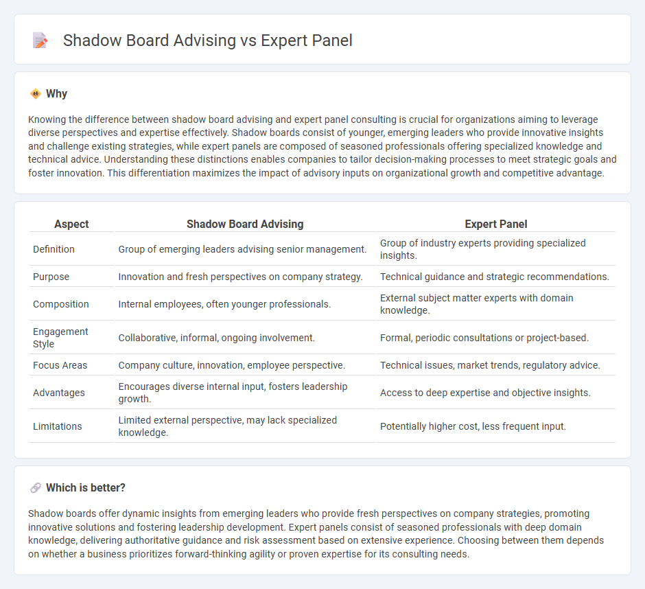 Shadow Board Advising vs Expert Panel in Consulting