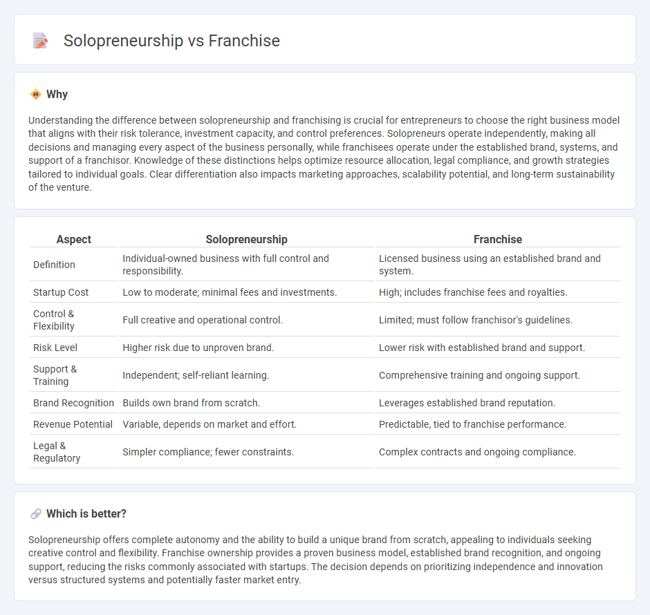 Solopreneurship vs Franchise in Entrepreneurship