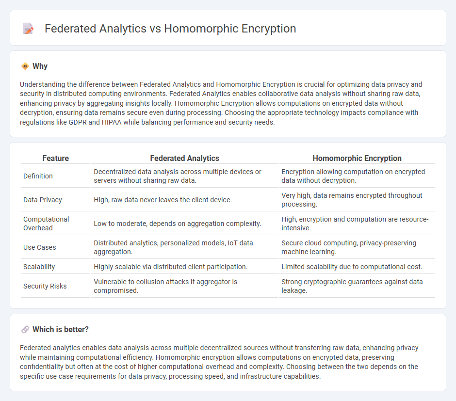 Federated Analytics vs Homomorphic Encryption in Technology