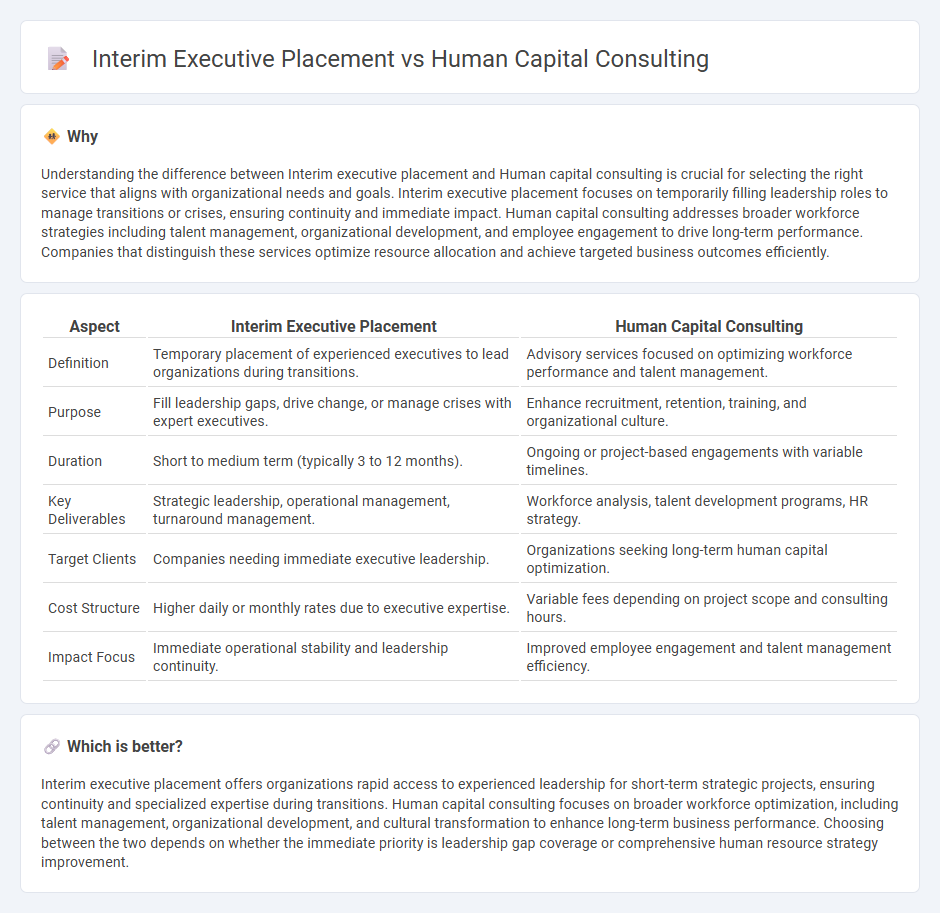 Interim Executive Placement vs Human Capital Consulting in Consulting