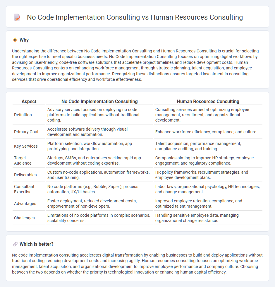 No Code Implementation Consulting vs Human Resources Consulting in Consulting