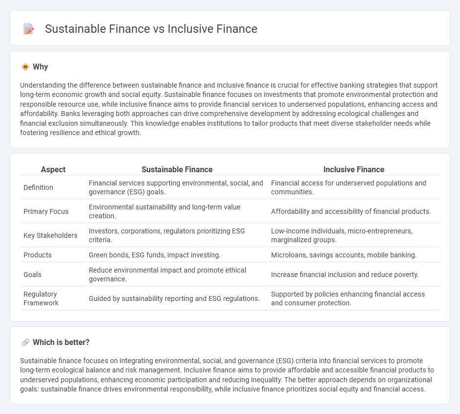 Sustainable Finance vs Inclusive Finance in Banking