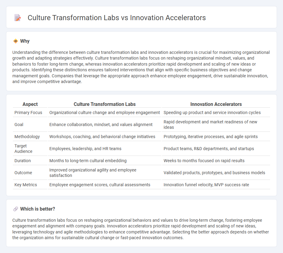 Culture Transformation Labs vs Innovation Accelerators in Consulting