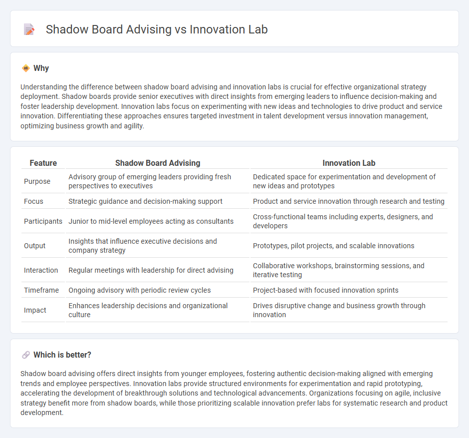Shadow Board Advising vs Innovation Lab in Consulting