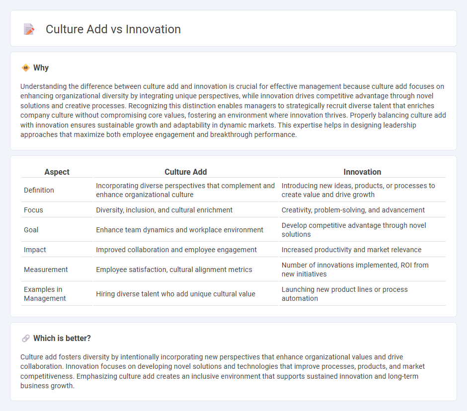 Culture Add vs Innovation in Management