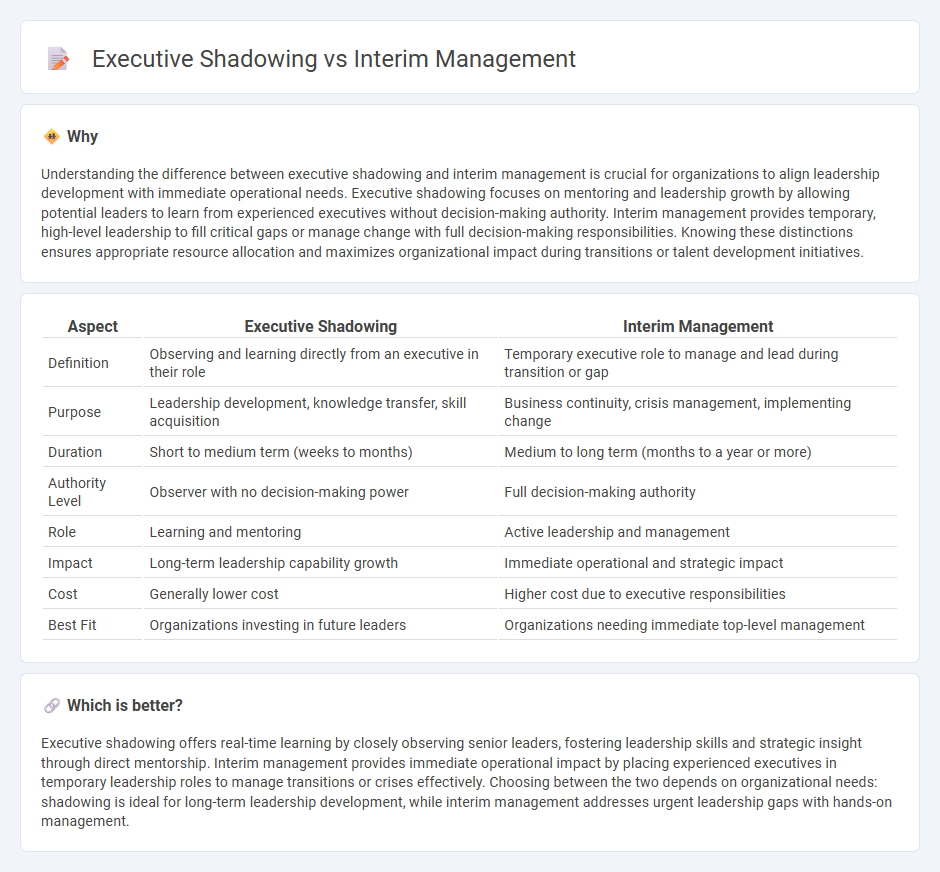 Executive Shadowing vs Interim Management in Consulting