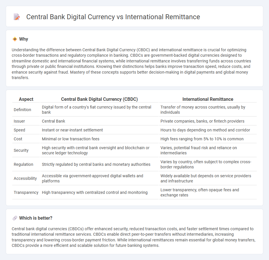 Central Bank Digital Currency vs International Remittance in Banking