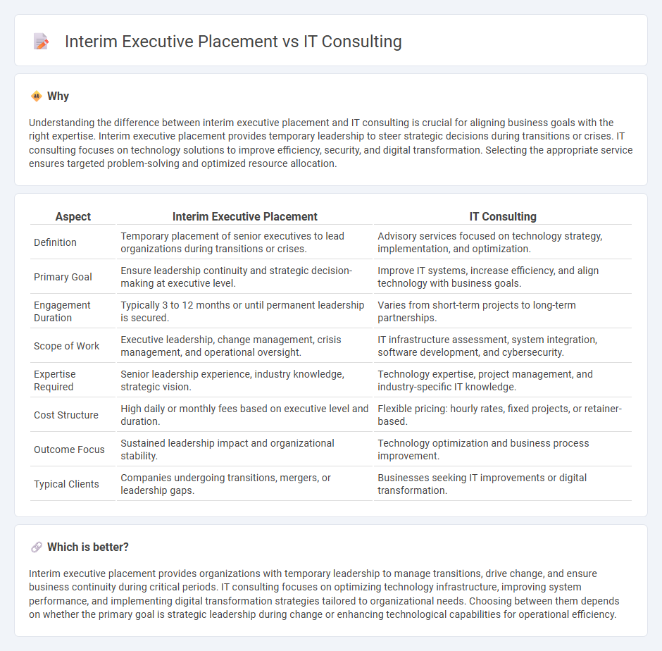 Interim Executive Placement vs It Consulting in Consulting