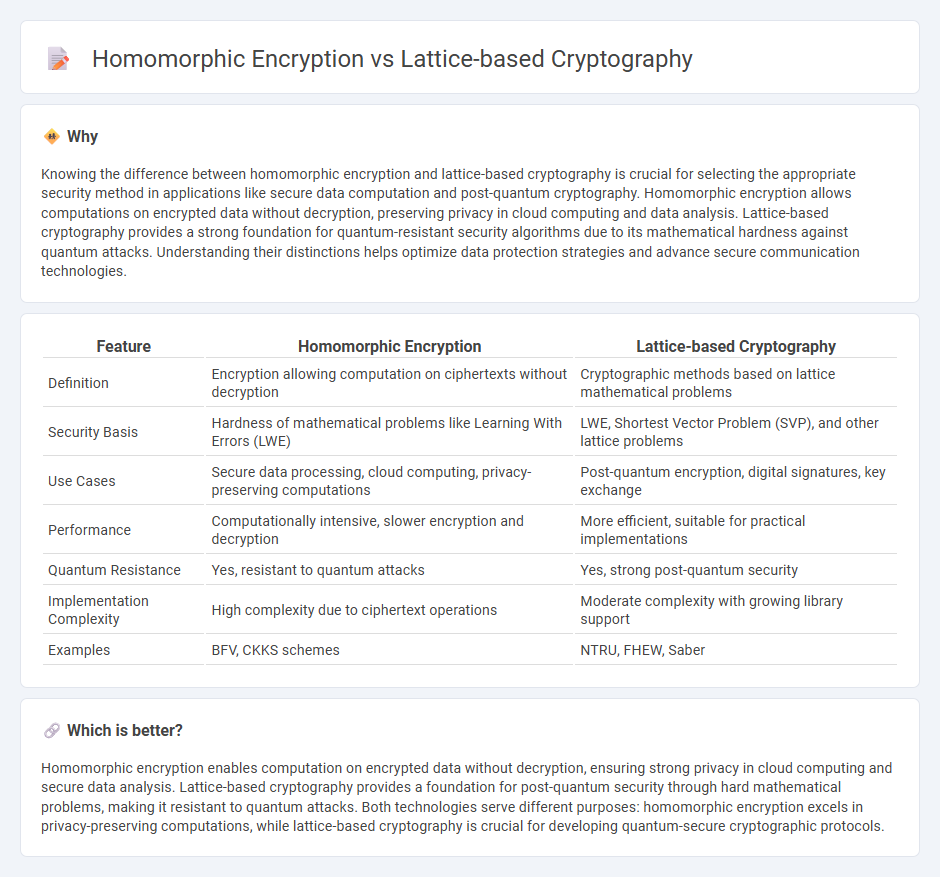 Homomorphic Encryption vs Lattice-Based Cryptography in Technology
