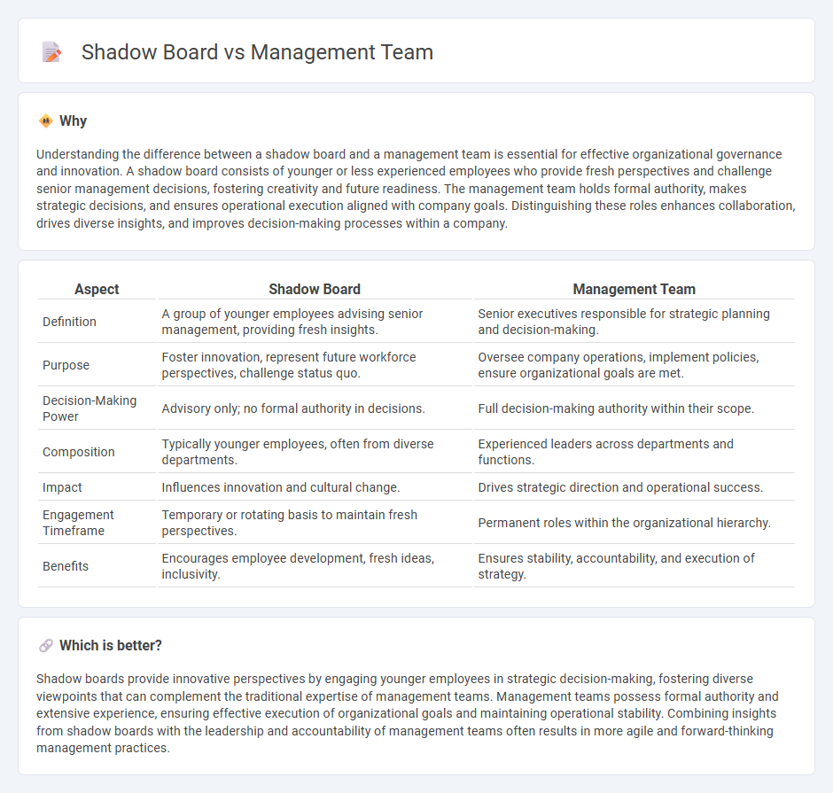 Shadow Board vs Management Team in Management