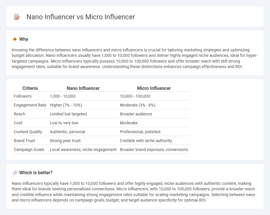 Nano Influencer vs Micro Influencer in Marketing