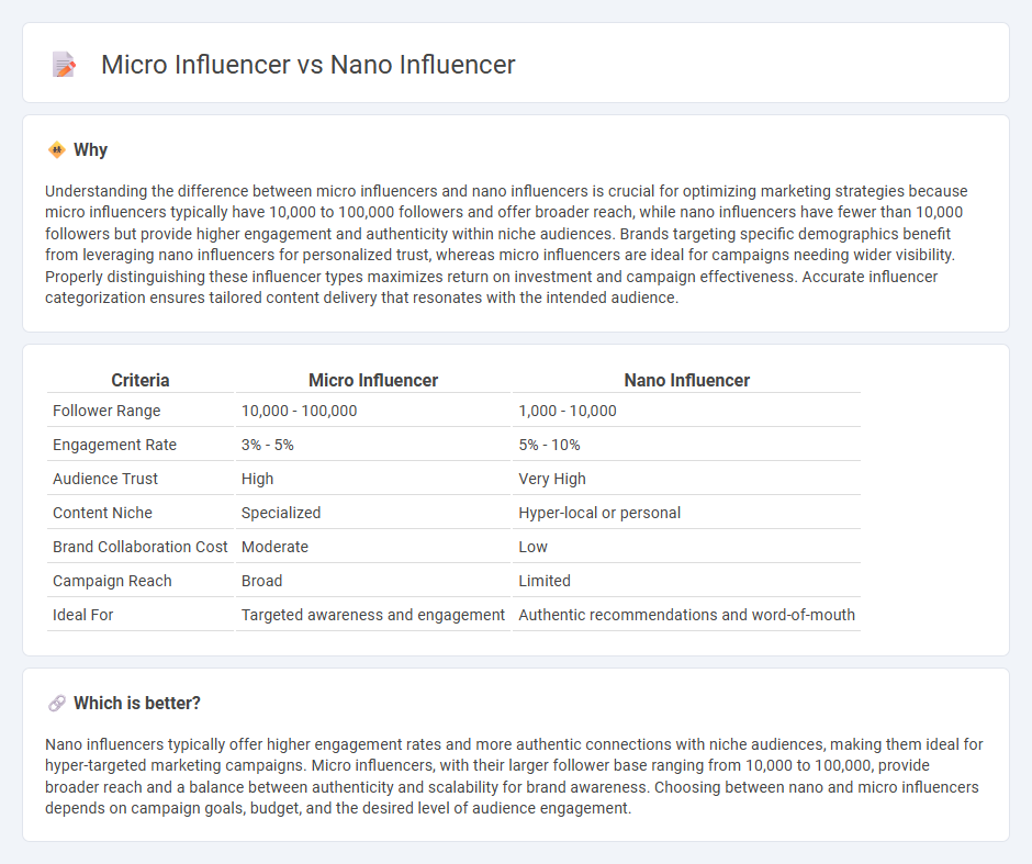 Micro Influencer vs Nano Influencer in Marketing