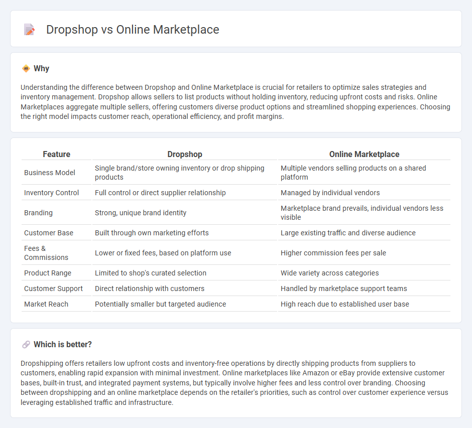 Dropshop vs Online Marketplace in Retail