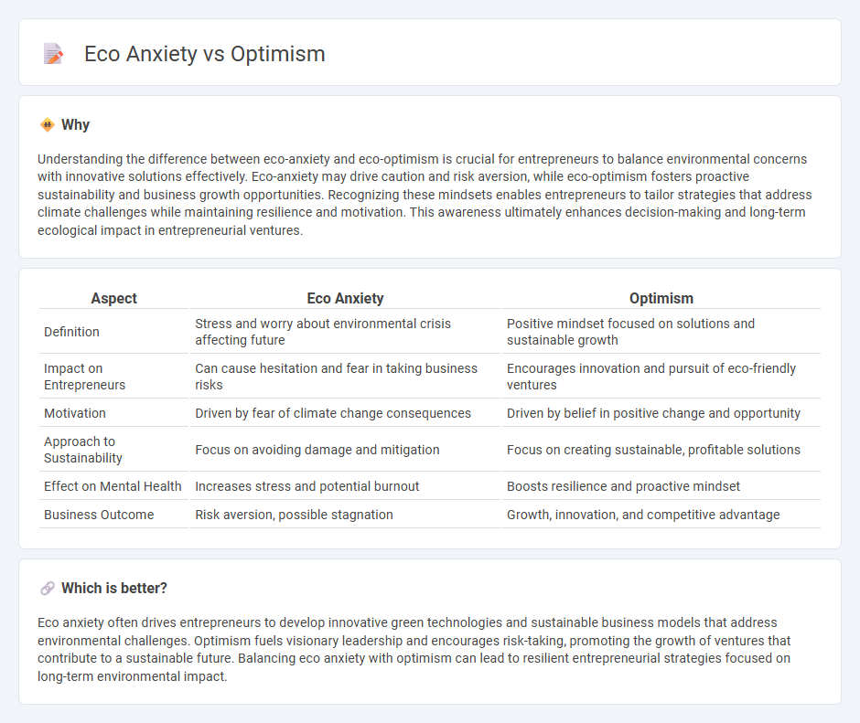 Eco Anxiety vs Optimism in Entrepreneurship