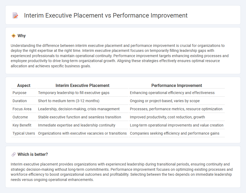 Interim Executive Placement vs Performance Improvement in Consulting