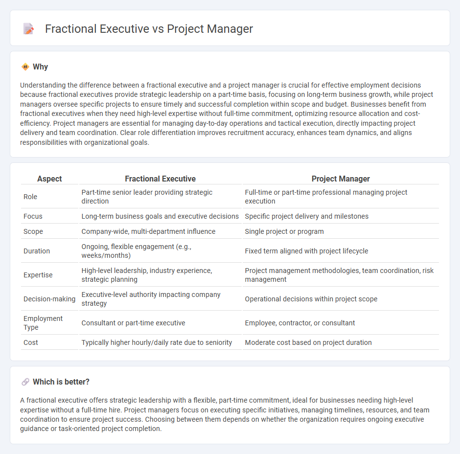 Fractional Executive vs Project Manager in Employment