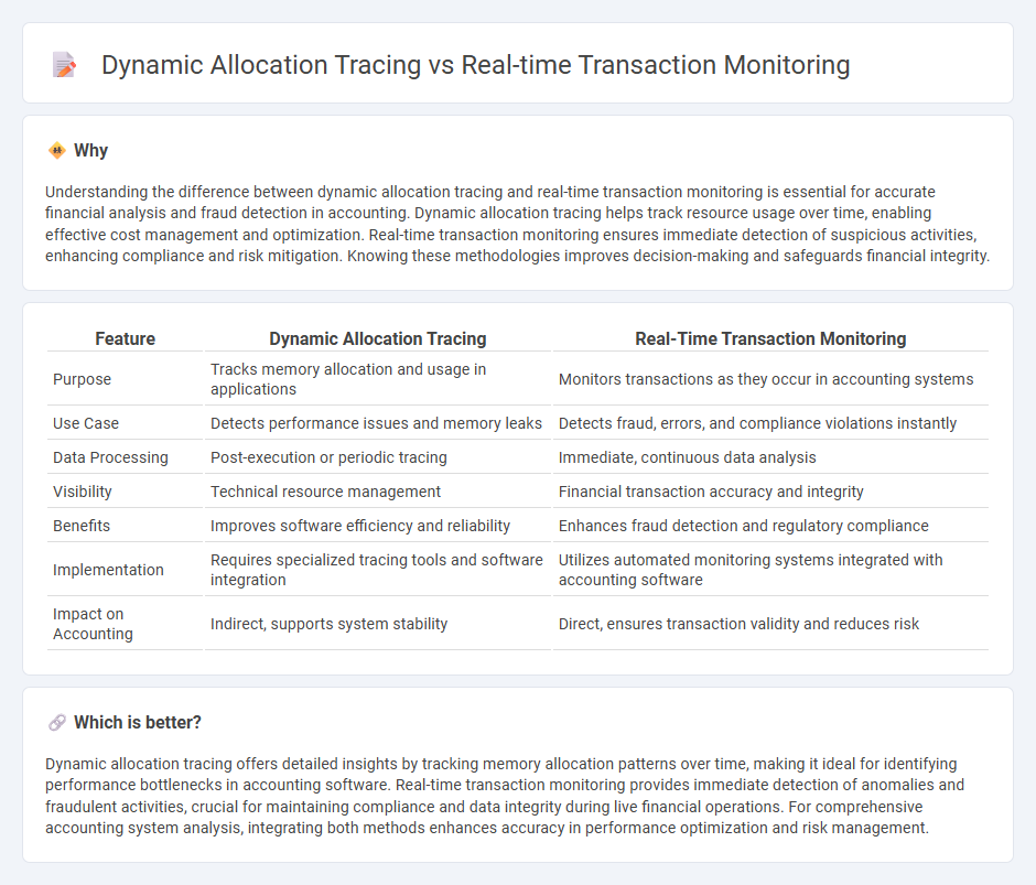 Dynamic Allocation Tracing vs Real-Time Transaction Monitoring in Accounting