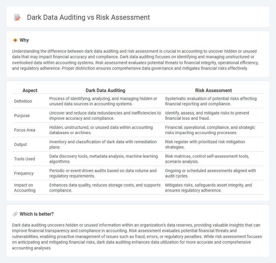 Dark Data Auditing vs Risk Assessment in Accounting