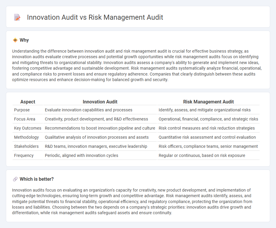 Innovation Audit vs Risk Management Audit in Consulting