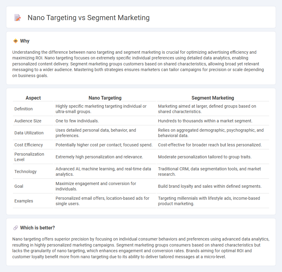 Nano Targeting vs Segment Marketing in Marketing