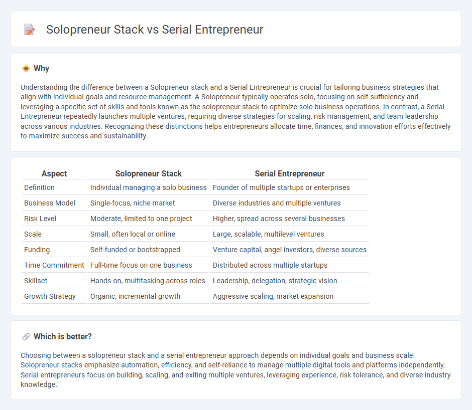 Solopreneur Stack vs Serial Entrepreneur in Entrepreneurship