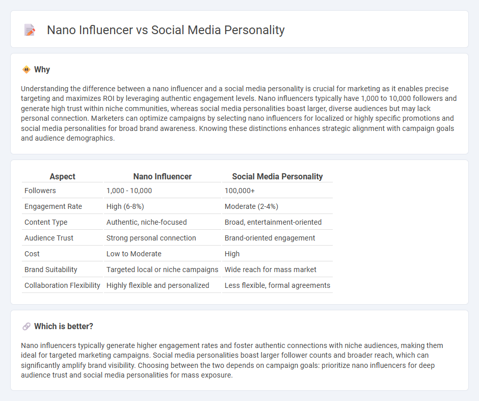 Nano Influencer vs Social Media Personality in Marketing