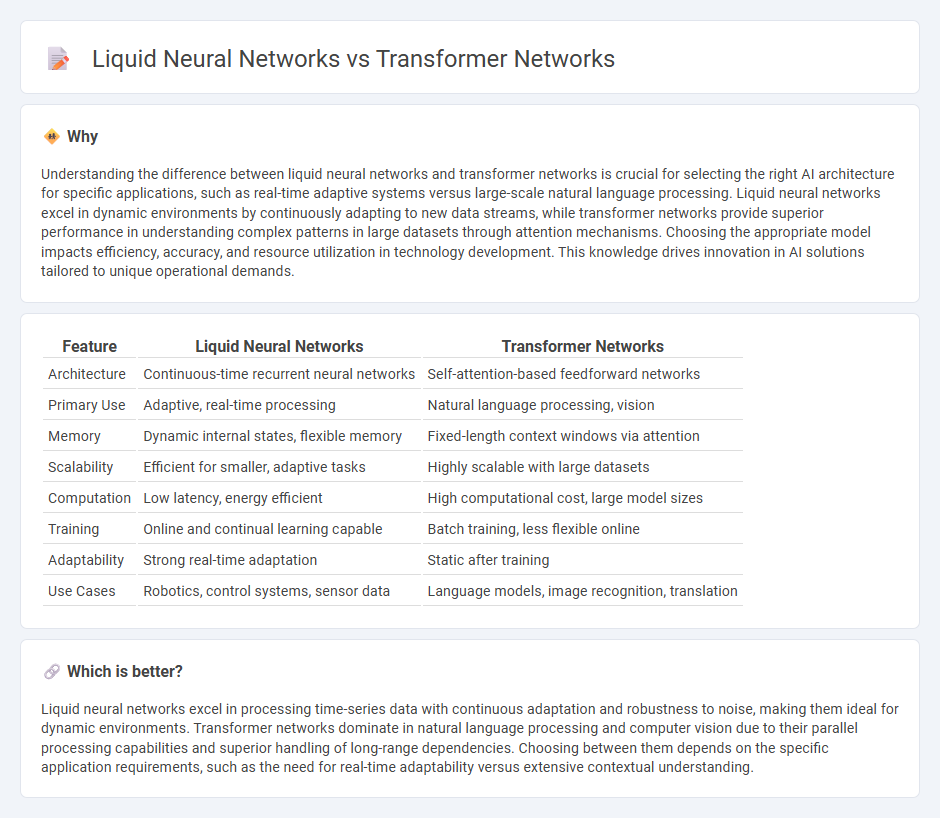 Liquid Neural Networks vs Transformer Networks in Technology