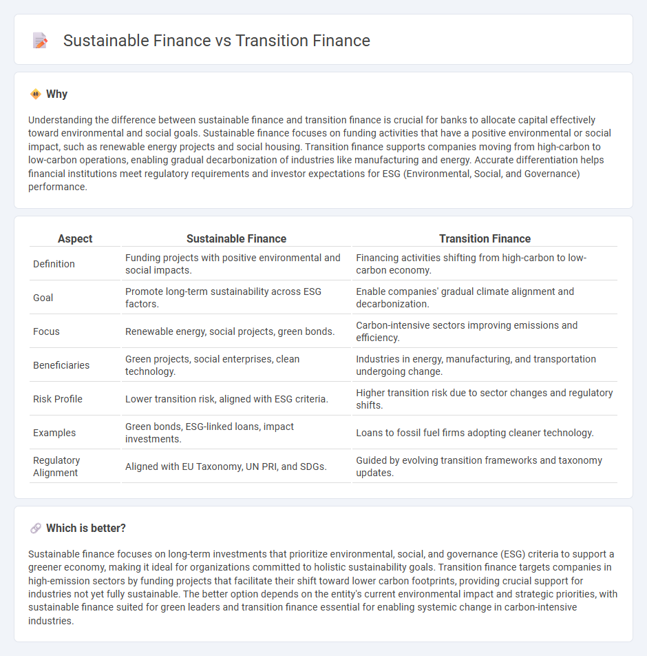 Sustainable Finance vs Transition Finance in Banking