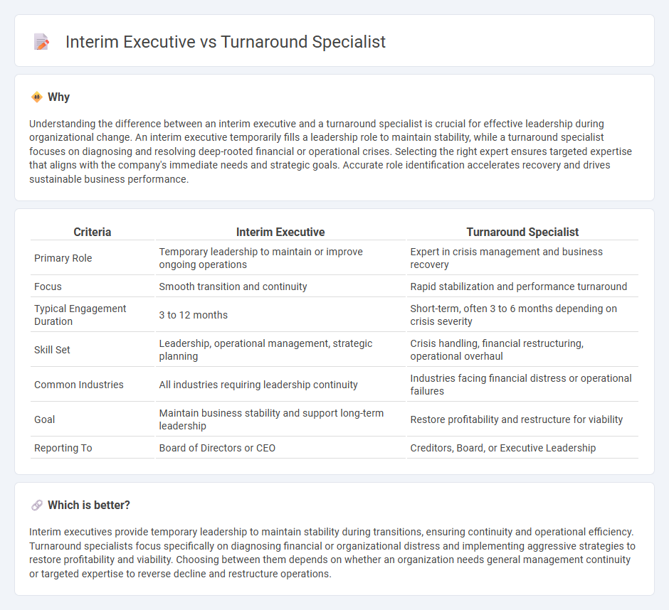 Interim Executive vs Turnaround Specialist in Management