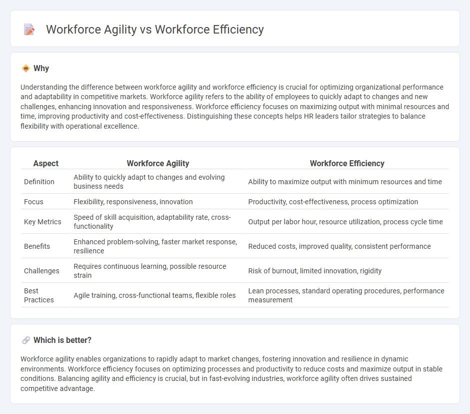 Workforce Agility vs Workforce Efficiency in Human Resources