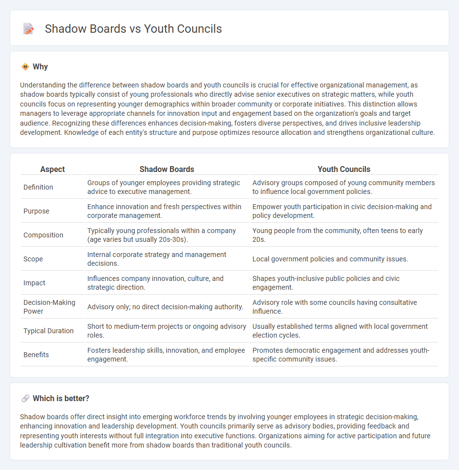 Shadow Boards vs Youth Councils in Management