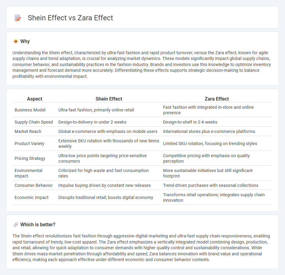 Shein Effect vs Zara Effect in Economy
