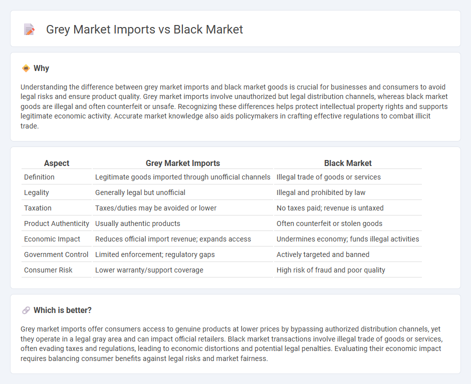 Grey Market Imports vs Black Market in Economy